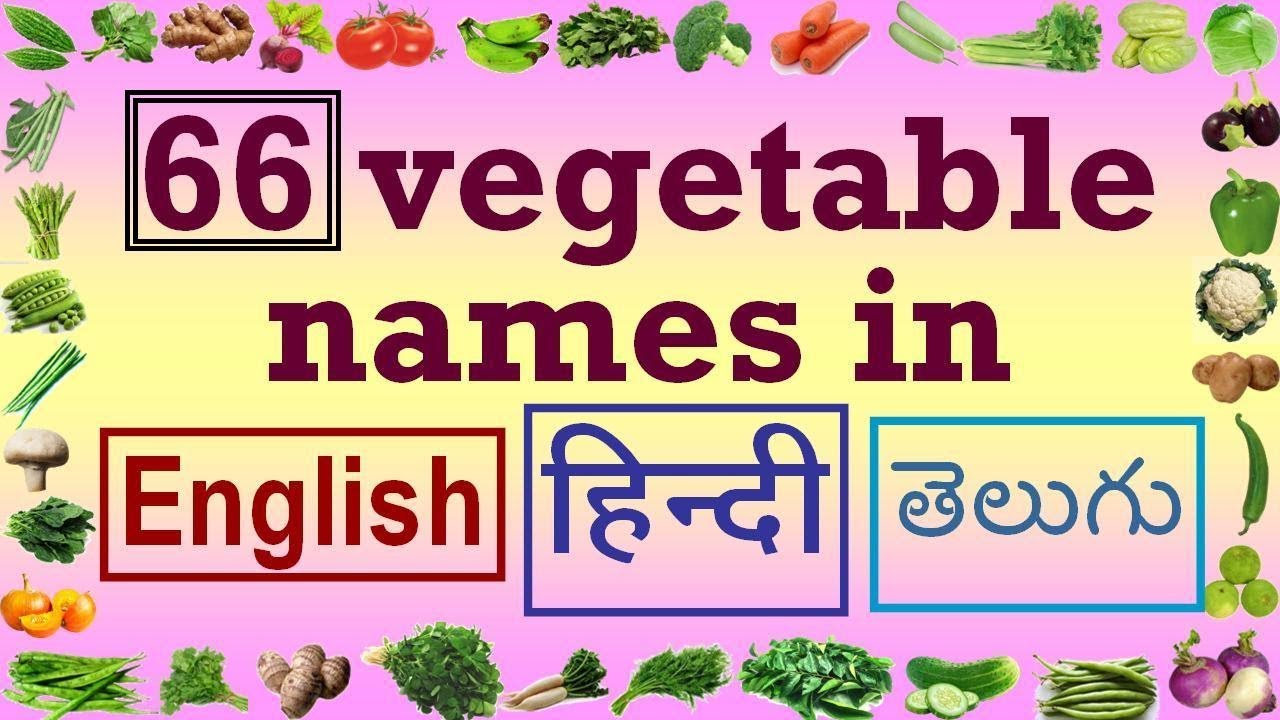 All Flowers Names In English To Telugu With Pictures