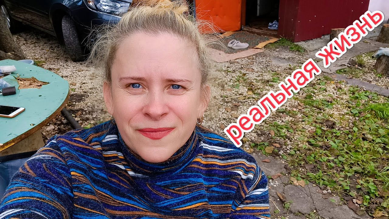 Приехали на дачу, пришёл Васька накормили его досыта/ заехала в магазин ...