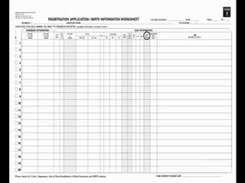 How to Register Herefords