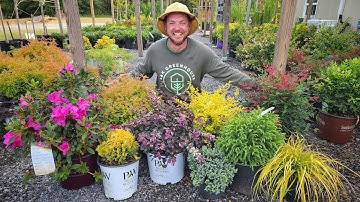 Top 10 struikcombinaties om voor uw huis te planten!