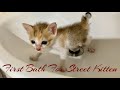 First Bath For Street Kitten || Kitten’s First Bath 😹