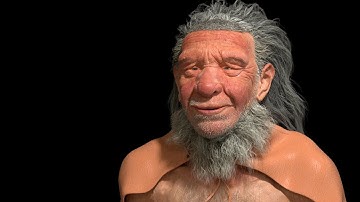Neanderthal Hair using Ornatrix/ 3ds Max/ V-Ray and Zbrush 2020 - Timelapse