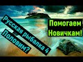 Русская Рыбалка 4 *🚨Будем Пообщаться :)🚨 + 🚨ПОМОГАЕМ НОВИЧКАМ!🚨*