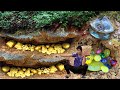 Treasure Hunting! Digging for Treasure worth Million of Gold Nuggets at the River, Mining Exciting