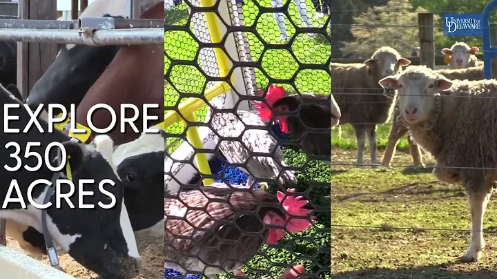 Explore UD's College of Agriculture & Natural Resources