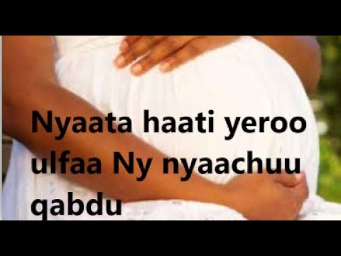 Dandeettii Sammuu Daa Ima Ishee Boodaa Cimsuuf Nyaata Haati Yeroo Ulfaa Nyaachuu Qabdu