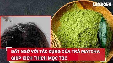 Bất ngờ với tác dụng của trà matcha giúp kích thích mọc tóc | Báo Lao Động