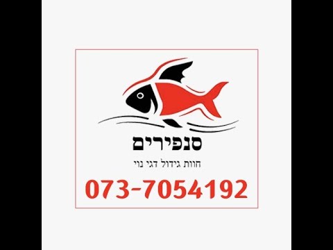 וִידֵאוֹ: מה קורה כאשר נתרן מגיב עם חומצה הידרוכלורית?