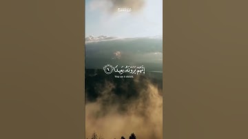 القران الكريم| فاصبر صبرا جميلا| اسلام صبحي #اكسبلور #لايك #المصحف #راحة_نفسية
