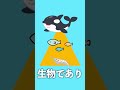 Q.ジンベエザメはプランクトンばっかり食ってお腹すきませんか?