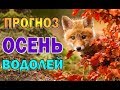 Таро прогноз (гороскоп)  на  ОСЕНЬ - 2018   ВОДОЛЕЙ