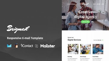 Brigmail - Modules + Online Access + Mailster + MailChimp | Themeforest Website Templates and Themes