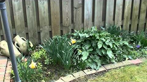 Test jvc gy-hm70e video camera