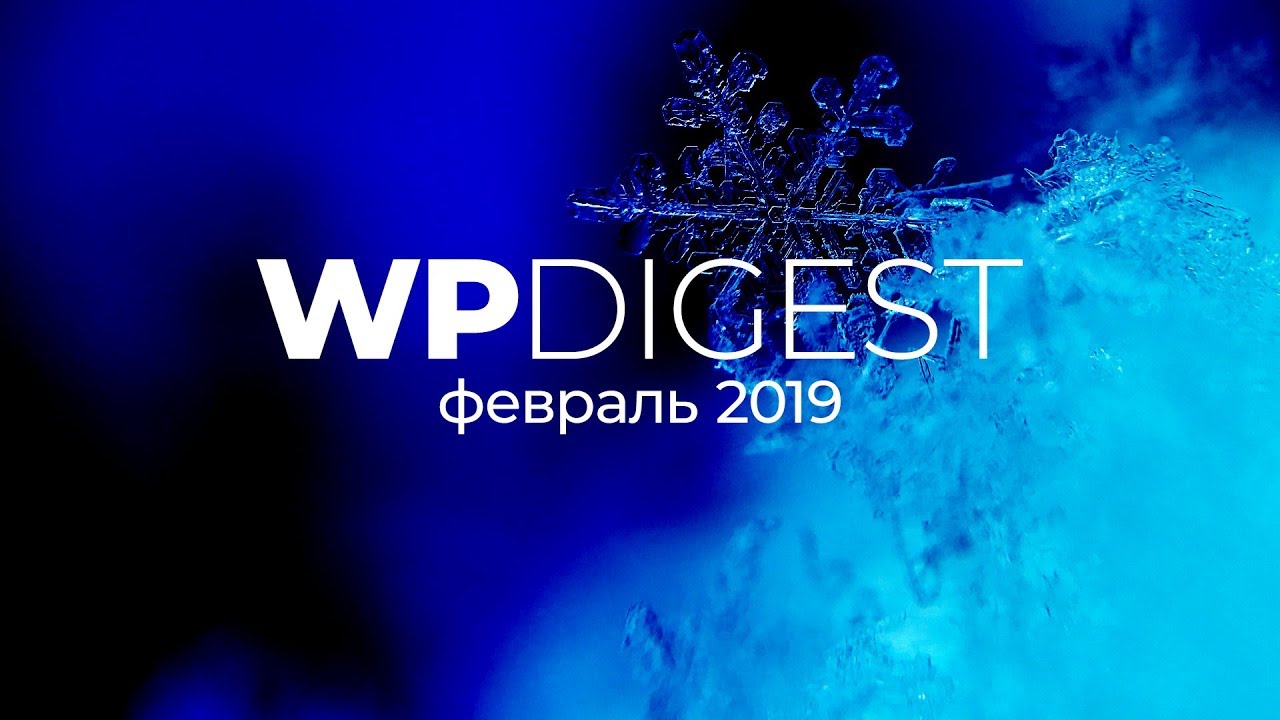 ⁣WP digest. Февраль. Что было нового?