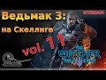 Ведьмак 3. Прохождение. vol.11