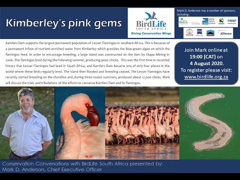 Conservation Conversations: Mark D Anderson - Kimberley&rsquo;s Pink Gems: Lesser Flamingos (4-Aug-20)