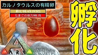 Arkモバイル ブリーディングで卵を孵化させて最強の恐竜を育てる カルノタウルス刷り込み100 Arkスマホ版 アークモバイル 実況 23 Youtube