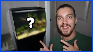 Setting Up My BEST AQUARIUM EVER! by Carson’s Aquatics 12,179 views 1 year ago 11 minutes, 25 seconds