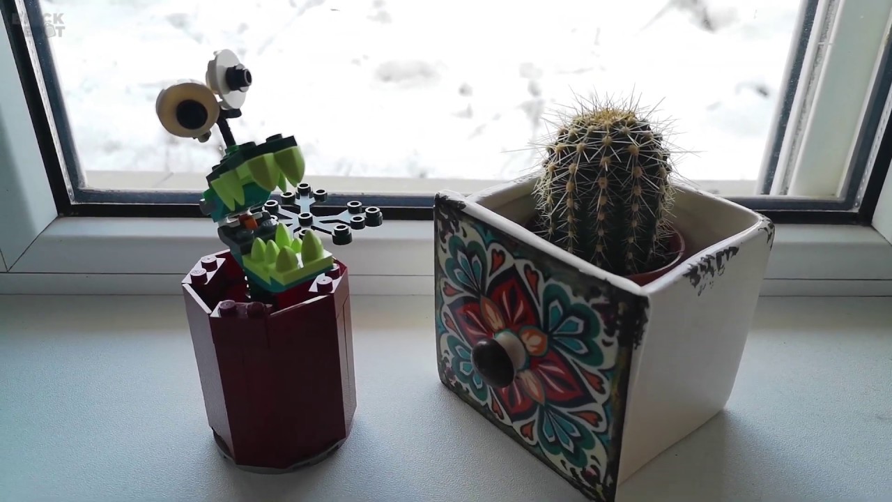 Despre Plantele Carnivore Cu LEGO SPIKE Prime 45678 8 YouTube despre-plantele-carnivore-cu-lego-spike-prime-45678-8-youtube