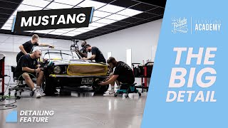 Detailing & Paint Correction & Restoration for a 67' Ford Mustang screenshot 3
