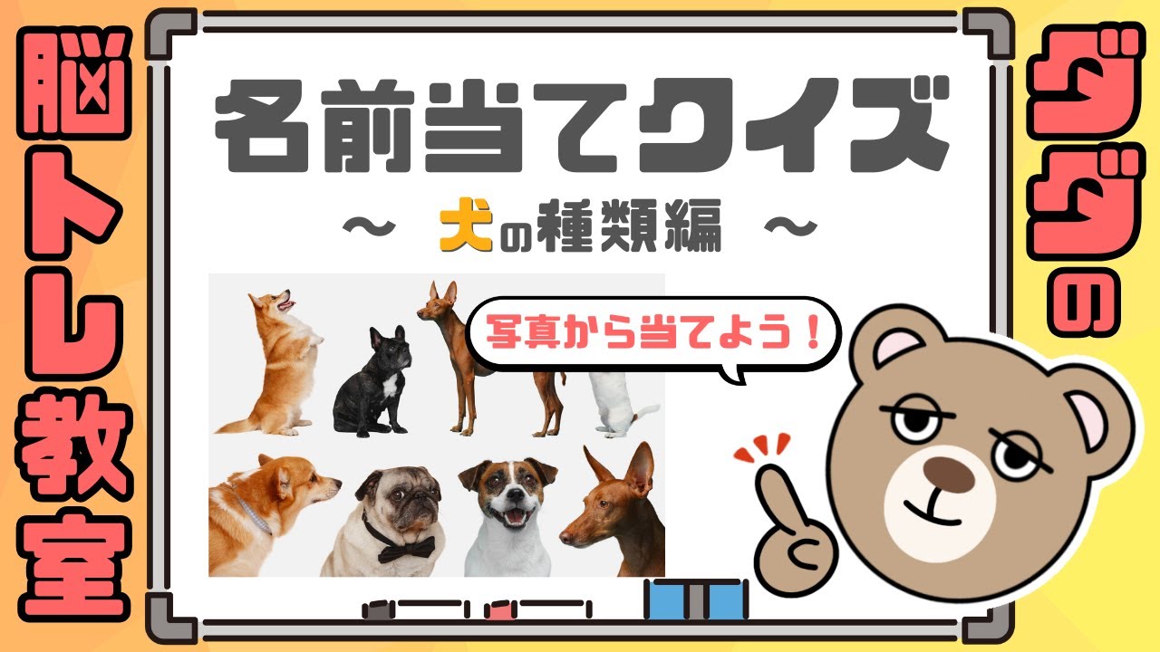 【名前当てクイズ】犬の種類の名前を当てよう！【脳トレ】#096