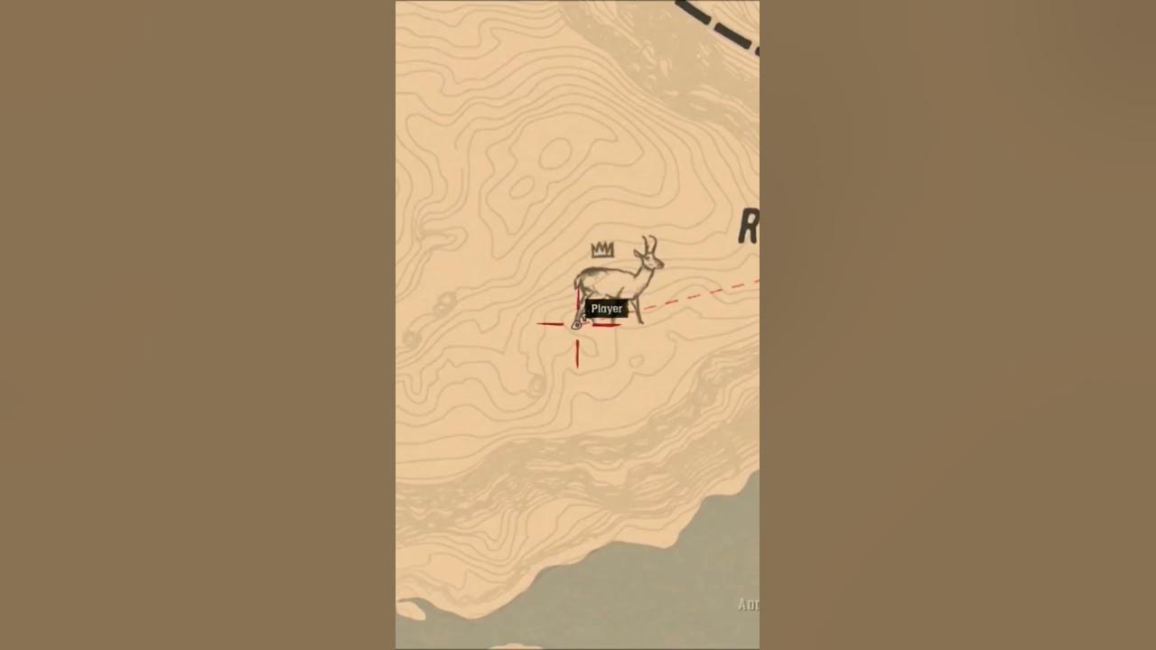 🐎Tiger Striped Mustang Location RDR2 shorts YouTube
