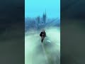 🏍️🔥#viral #gta #viralvideo #gtasanandreas #bike #gaming #stunt #trending #shortvideo #viralshorts