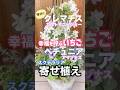 \春はコレ/クレマチスの中に新色ペチュニアで立体的に楽しむ寄せ植え! #スクテラリア #いちご #shorts