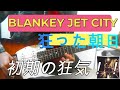 Blankey Jet City  /  狂った朝日  弾いてみた