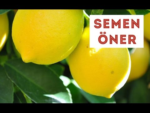 Limon Kabuğu Rendeleme | SemenOner  Yemek Tarifleri
