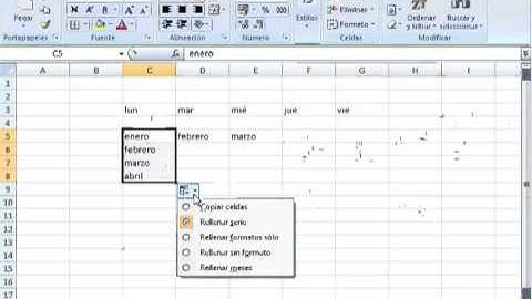 Tutorial de Introducir datos en excel 2007