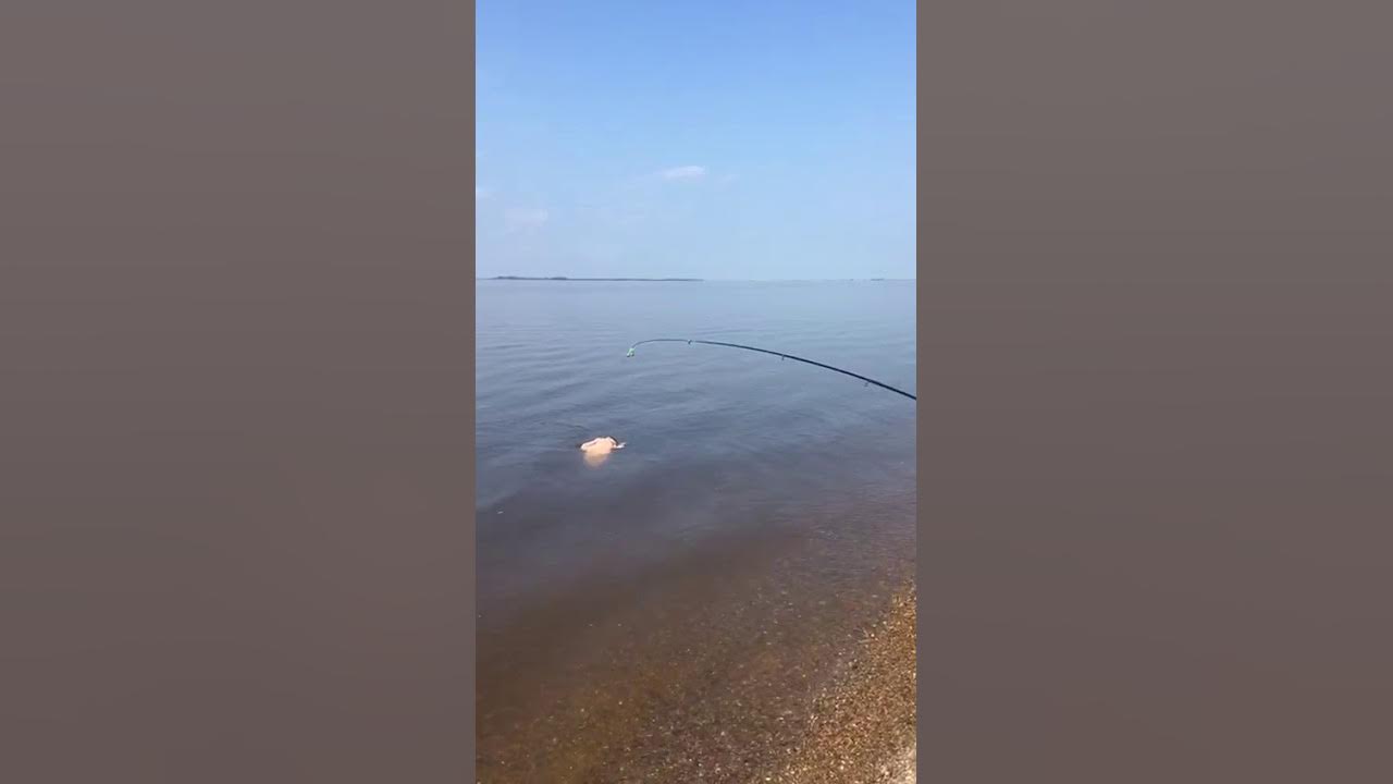 Вот это улов!!! Поймал резиновую бабу! - YouTube