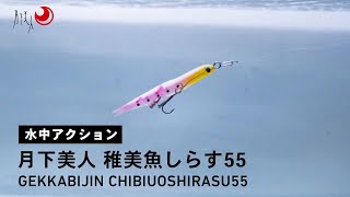 【ルアーアクション】月下美人 稚美魚 しらす55|まさに『しらす』! ワーム素材ナチュラルシンペン