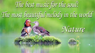 картинка: This is the best music for the soul! музыка Сергея Чеклина Nature