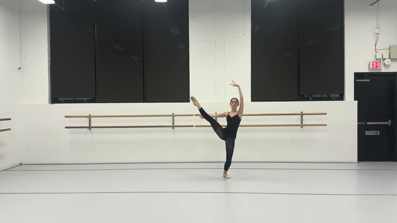 NYU Sofia Tamas bfa audition pre screen