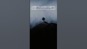 وَالسَّمَاءِ ذَاتِ الْبُرُوجِ ١۝ | سورة البروج | ابو بكر الشاطري | تلاوة جميلة | تلاوة هادئ