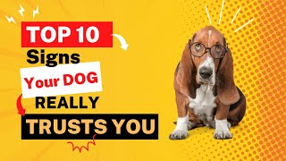 TOP 10 Signs Your DOG Really TRUSTS You