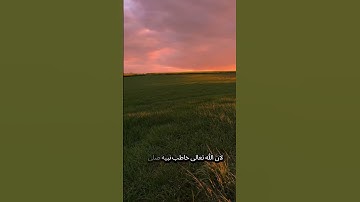 سورة المزمل #اكسبلور #المصحف #بودكاست #القزابري #تيك_توك #الرحمن