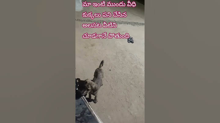 #మా ఇంటి పనులు మేము ఉంటే#.   మేముకట్టుకునే ఇల్లు వరకు వచ్చి#అమ్మ అని పిలిచినట్టు#వీటి పలకరింపు