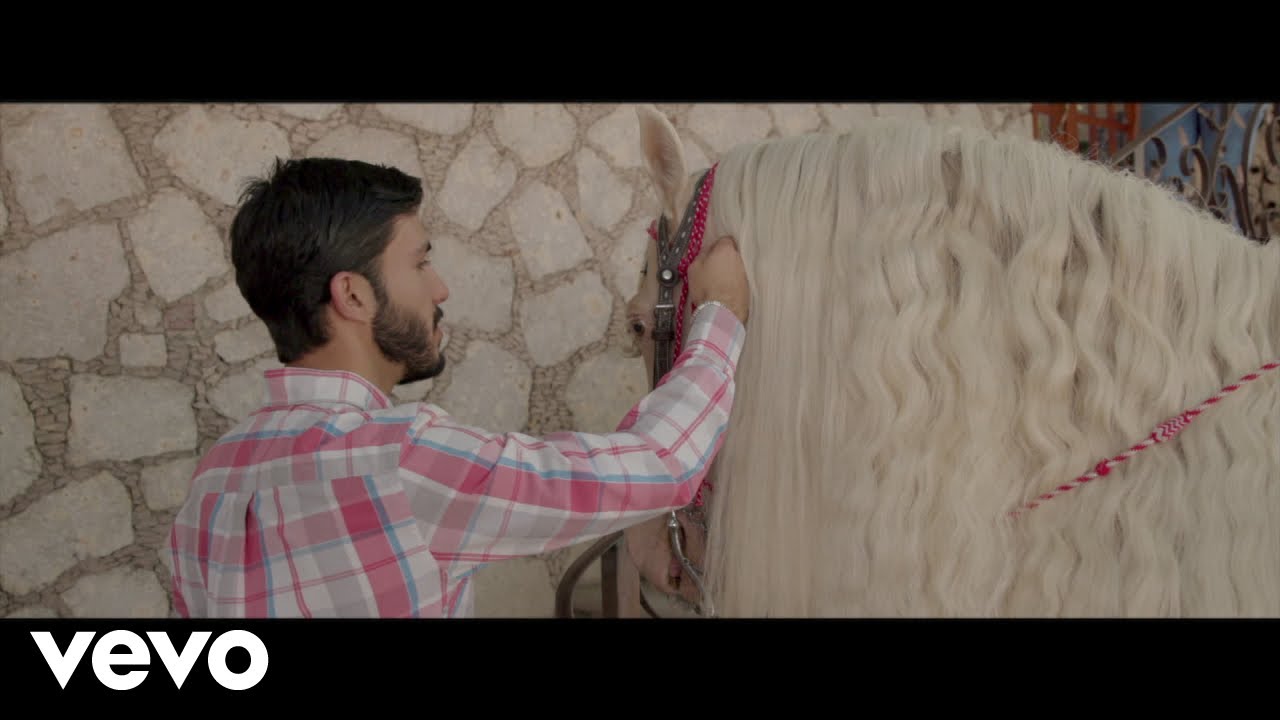 Joan Sebastian - La Compañera Que Elegí