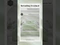 Ardor Preston Pale Green Embossed Quilt Cover Set Queen
