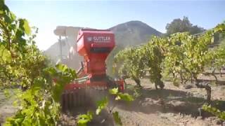 Güttler - Greenmanager Herse