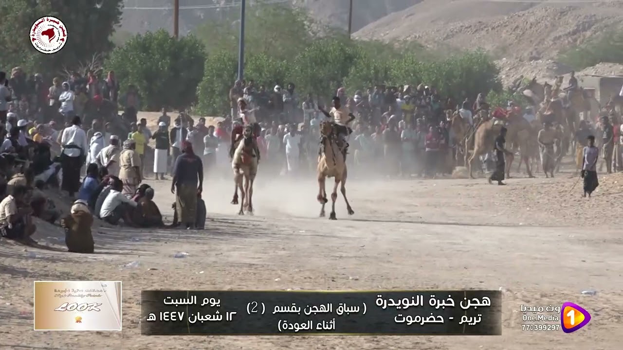 هجن خبرة النويدرة 1447 ه سباق قسم أثناء العوده