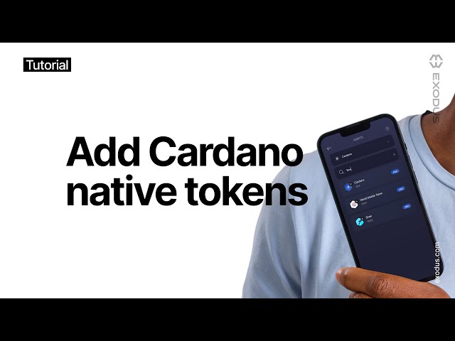 What Are Native Tokens?