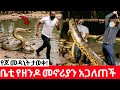 ቤቲ የዘንዶዎችን መኖርያ አጋለጠች መዳኒቱ ያለበት ታወቀ ጆ ይድን ይሁን