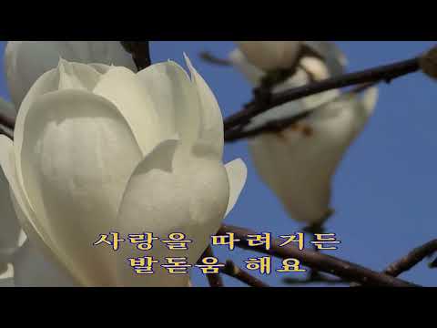능금빛순정  이명진  iSMB미쳤다!!이명진  584  회