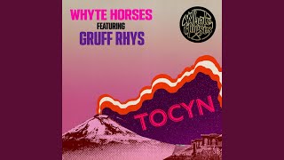 Video thumbnail of "Whyte Horses - Tocyn"