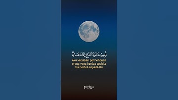 (وإذا سألكَ عبادي عنّي فإنّي قريب)ماتيسر من سورة البقرة بصوتٍ رقيقٍ عذب ♥️🌿