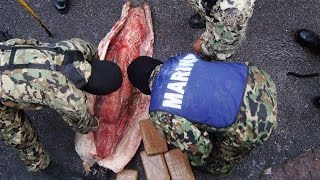 Creative But Failed Drug Smuggling Attempts!!!