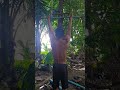 #วันนี้เรามาฝึกกล้ามเนื้อด้านหลังกันนะครับ 🔥🔥🔥💪💪💪